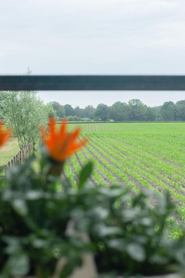 Hermans Huisje: Het Mooiste Uitzicht Van Twente? ฮาคส์แบรเกน ภายนอก รูปภาพ